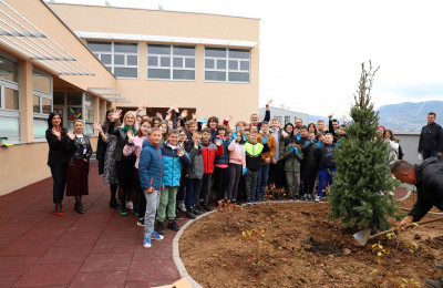 Sadnjom stabla ispred Osnovne škole „Šip“ započelo uređenje školskog dvorišta