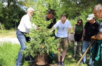 Deset novih stabala krasi Gradski park Jezero-Betanija