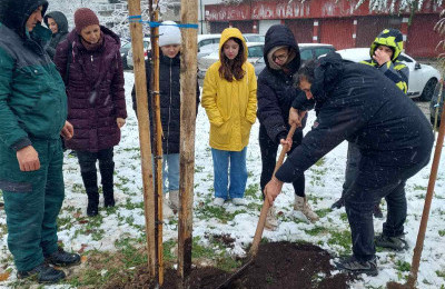 Učenici učestvovali u sadnji 20 novih stabala na Breki