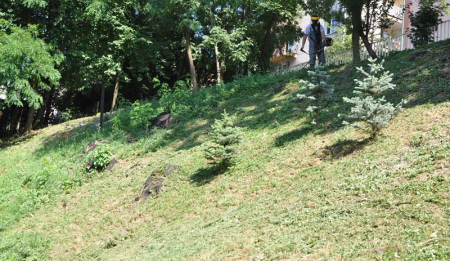 Uređenje zelenih površina u MZ Marijin dvor–Crni vrh