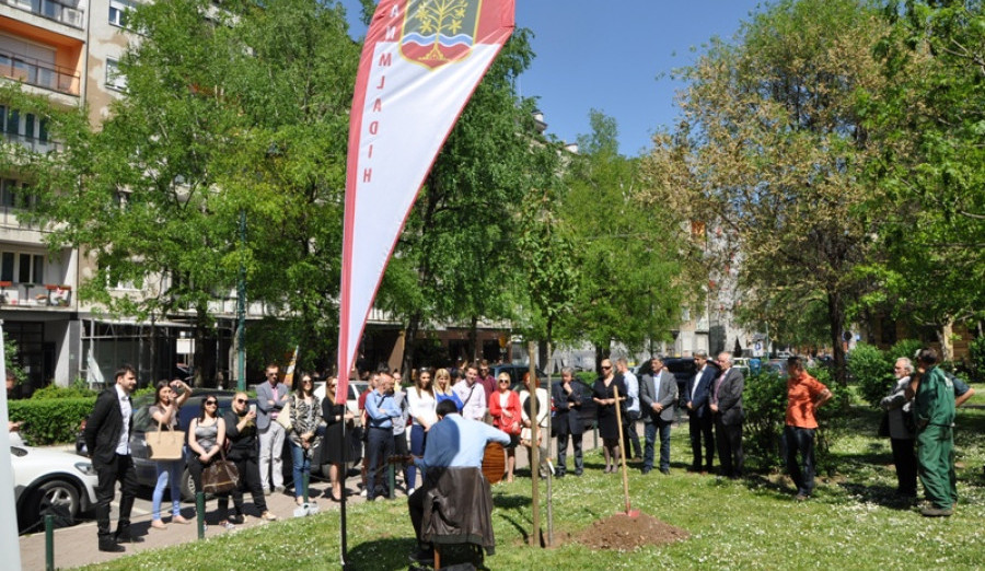 Dan mladih Općine Centar