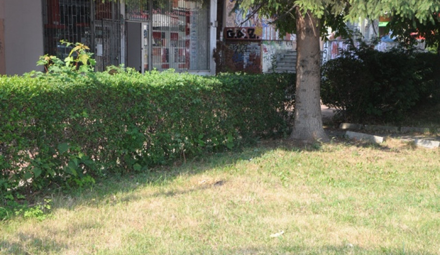 Uređene zelene površine na Merhemića trgu