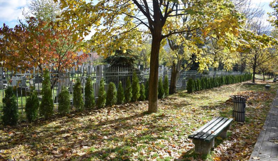 Pri kaju prva faza realizacije projekta ozelenjavanja grobalja u Koševskoj dolini