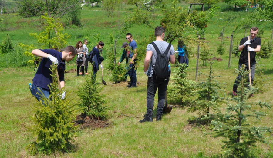 Počinje projekat „botanički kutak“