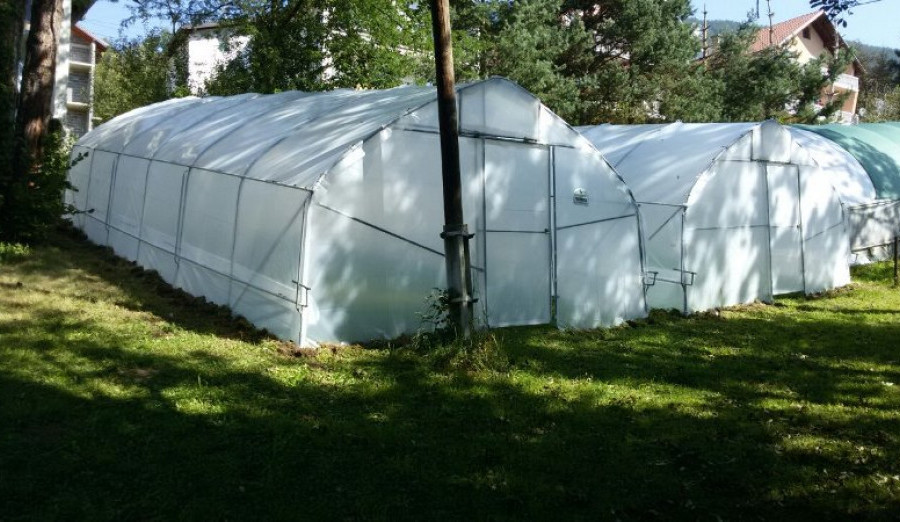 Uskoro počinje dodjela 560 plastenika