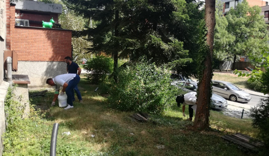 Preventivna dezinsekcija na području općine Centar
