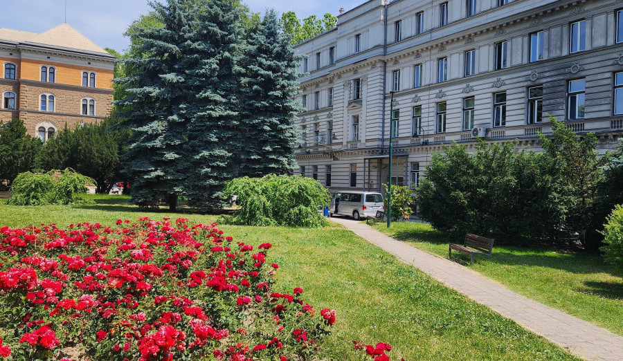 Javni oglas za izbor i imenovanje na pozicije predsjednika i članova školskih odbora