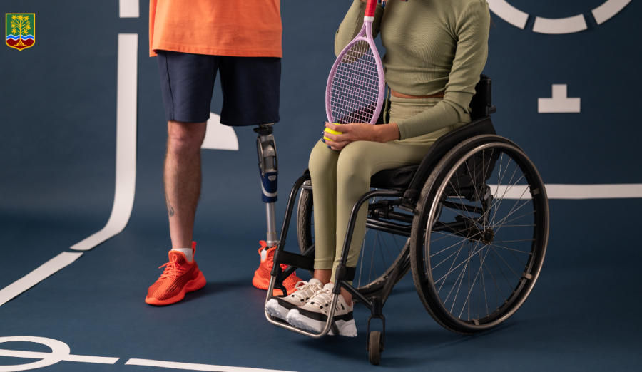 Finansiranje organizacija u sportu osoba sa invaliditetom