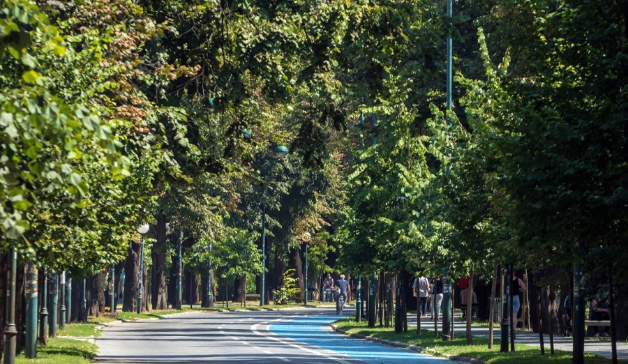 Dan porodice sutra na Vilsonovom šetalištu